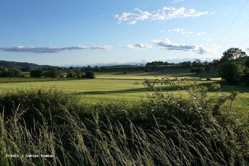 Ardèche_paysage